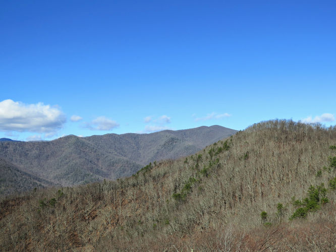 Picture 42 of Lookout Mountain Hike 123016
