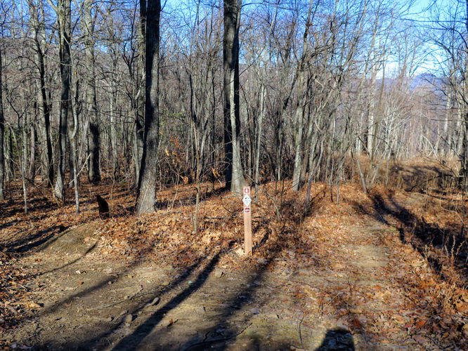 Picture 45 of Lookout Mountain Hike 123016