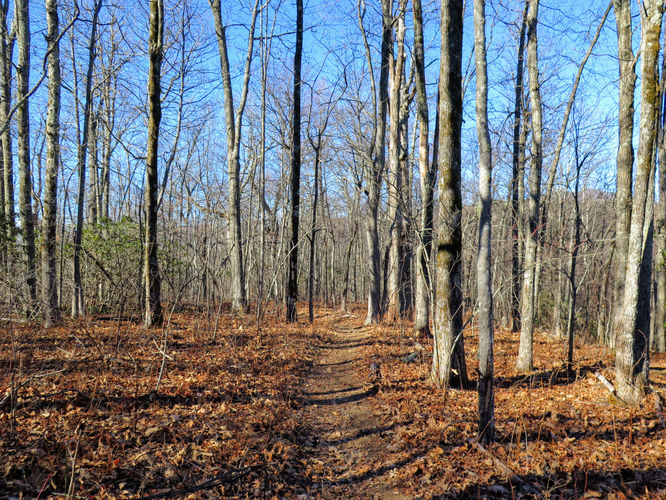 Picture 46 of Lookout Mountain Hike 123016