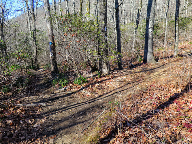 Picture 47 of Lookout Mountain Hike 123016