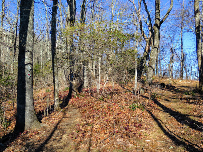 Picture 48 of Lookout Mountain Hike 123016