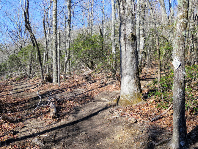 Picture 49 of Lookout Mountain Hike 123016