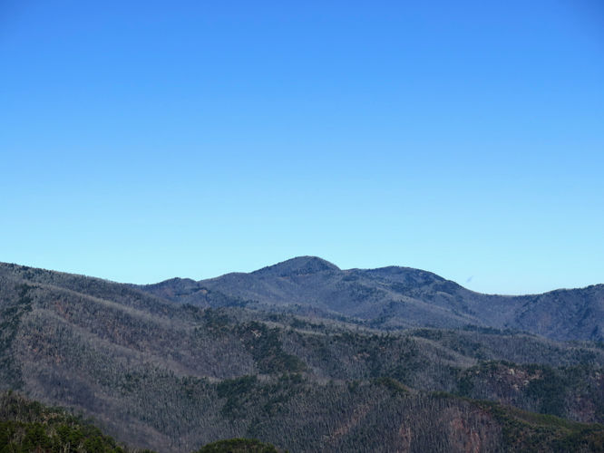 Picture 53 of Lookout Mountain Hike 123016