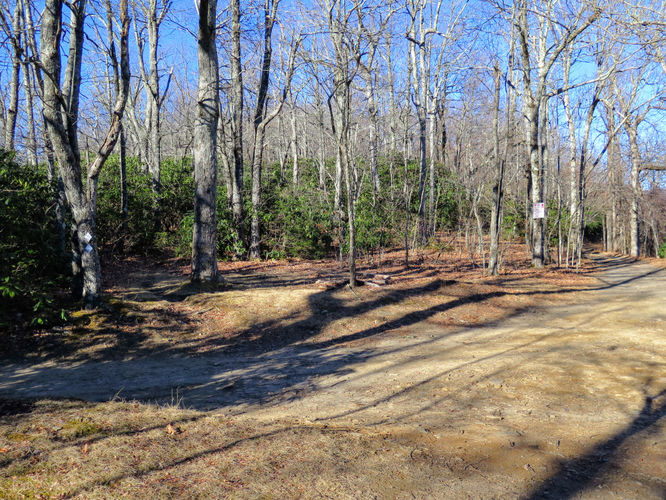 Picture 57 of Lookout Mountain Hike 123016
