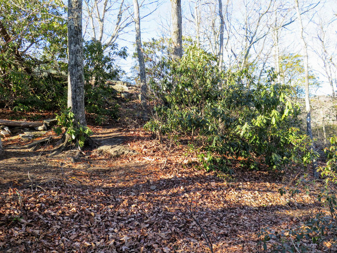 Picture 59 of Lookout Mountain Hike 123016