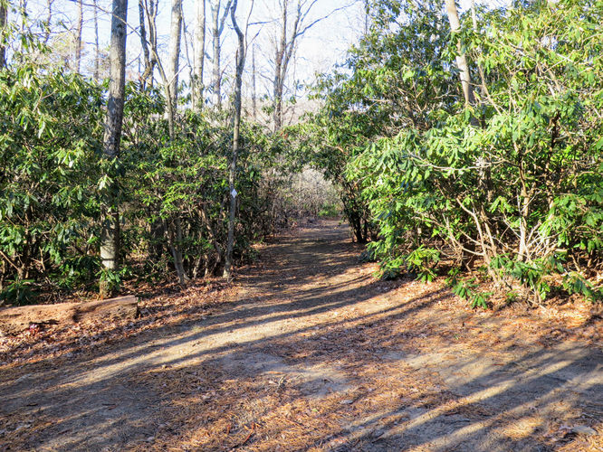 Picture 62 of Lookout Mountain Hike 123016