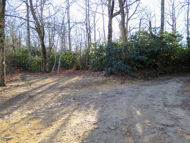 Picture 64 of Lookout Mountain Hike 123016