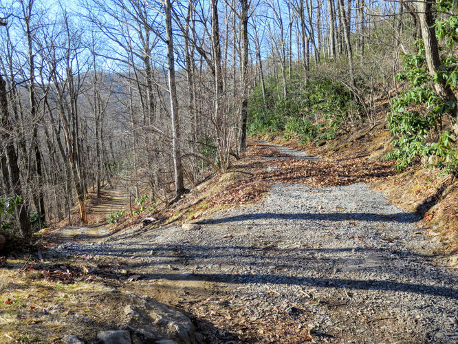 Picture 65 of Lookout Mountain Hike 123016