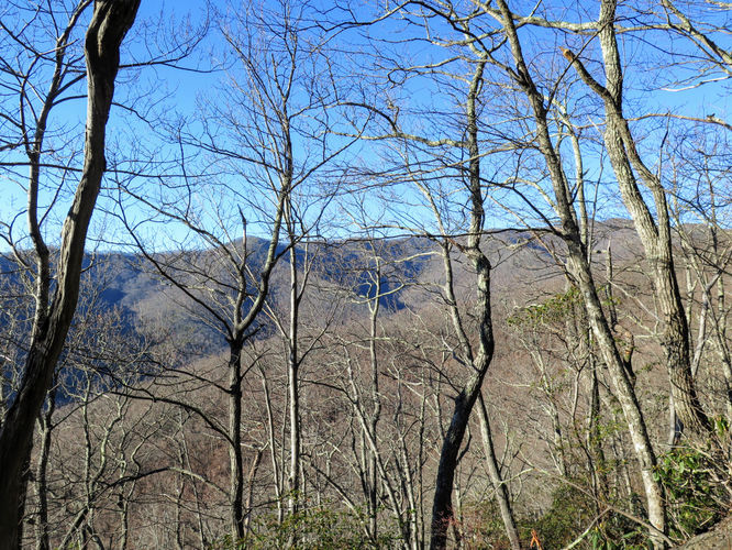 Picture 68 of Lookout Mountain Hike 123016