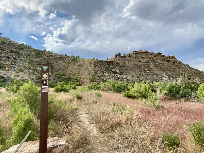 Lookout Point Interpretive Site trailhead sign