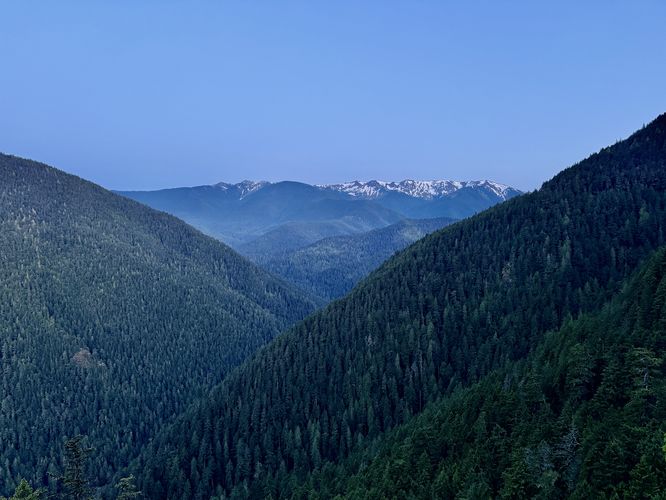 Default image for Lookout Rock Trail, a 0.1-mile trail in Port Angeles, WA (US)