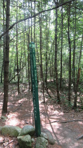Trail Juctions are marked with Green wooden Posts with White names painted