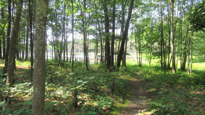 Short trail to the Lastowka Pond