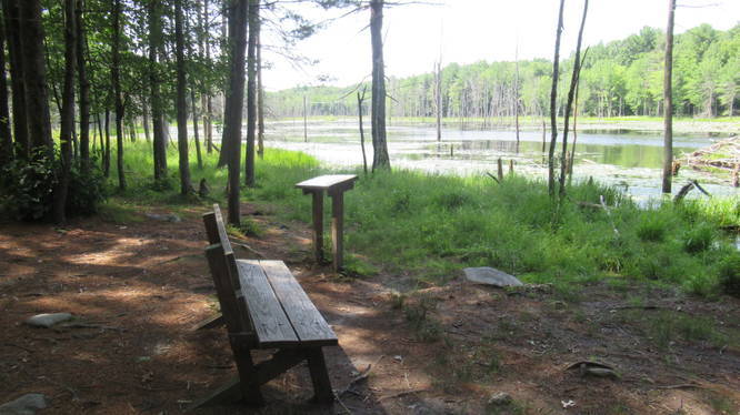 Bench and education placard at Lastowka Pond