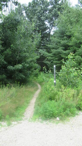 Trail gets narrow for a short while