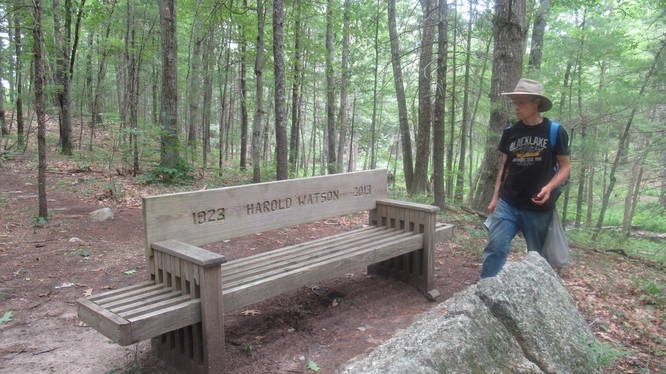 Memorial Bench for a picnic
