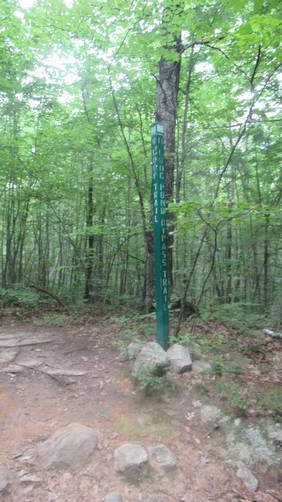 Trail Juctions are marked with Green wooden Posts with White names painted