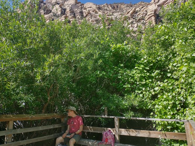 A shady spot to cool off and have a snack