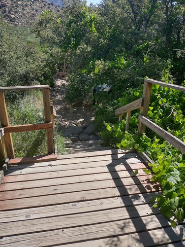 This boardwalk and deck protect a special little snail that live here