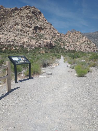 The trails beginning substrate