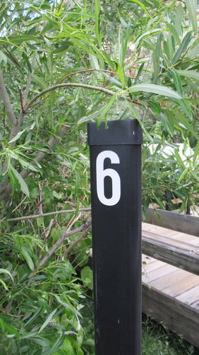 Numbered marker... pick up a brochure at the Visitor center