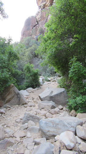 Lush greenery in the Lost Creek Canyon