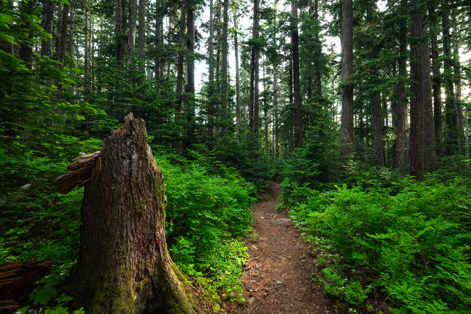 Picture 2 of Lost Lake Loop