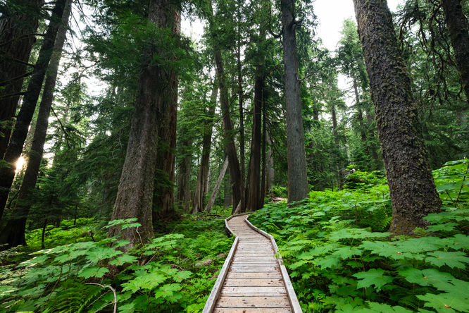 Picture 6 of Lost Lake Loop