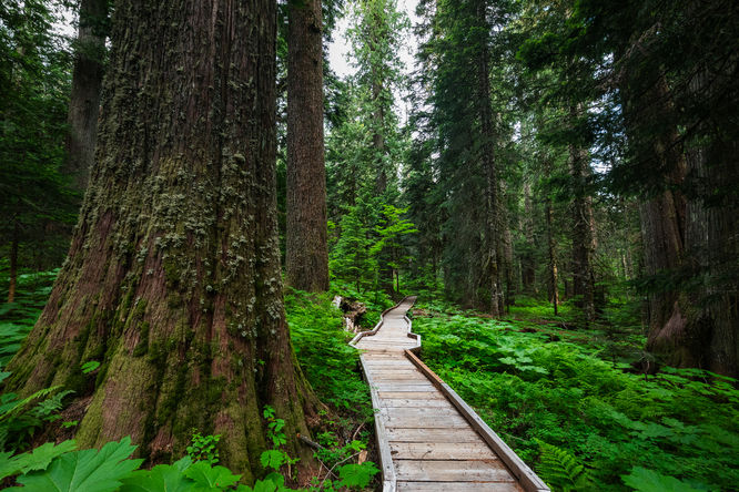 Picture 7 of Lost Lake Loop
