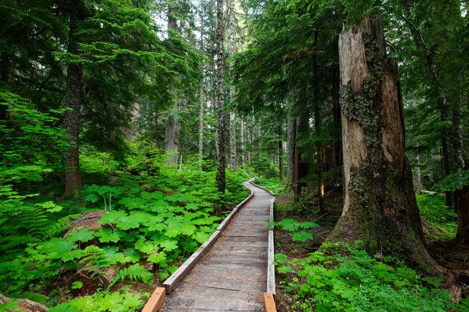 Picture 8 of Lost Lake Loop
