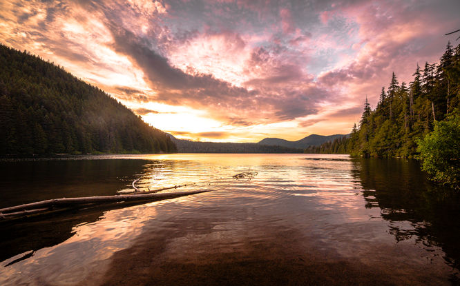 Default image for Lost Lake Loop, a 3.7-mile trail in Lost Lake Resort, OR (US)