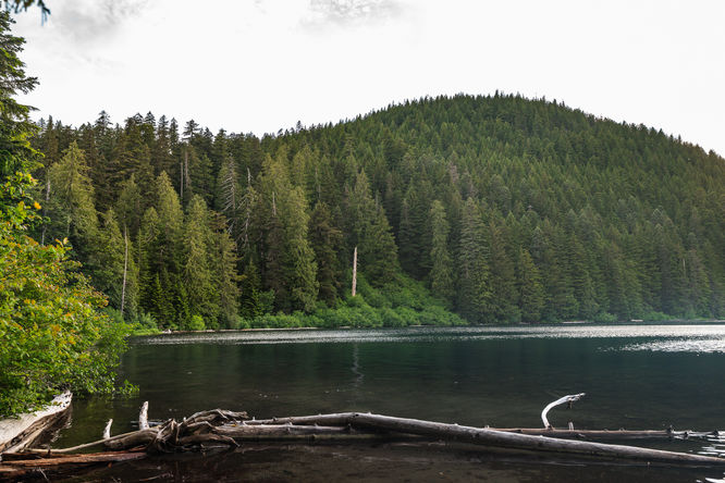 Picture 9 of Lost Lake Loop