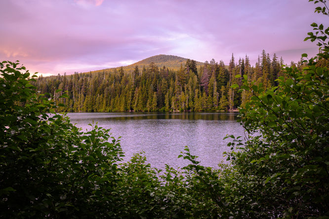 Picture 10 of Lost Lake Loop