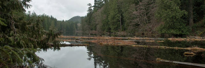 Picture 6 of Lost Lake