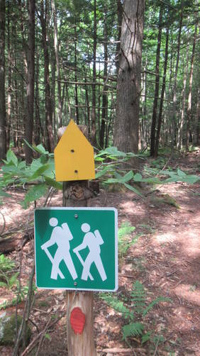 Red trail blazes as well as yellow pointers can be seen along the trail