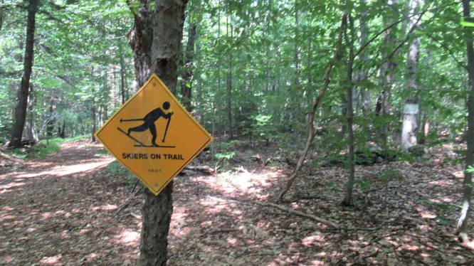 Cross country skiing allowed on trails
