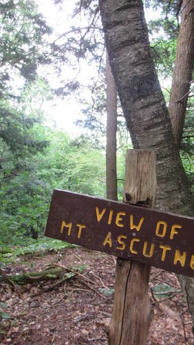 Viewpoint Sign