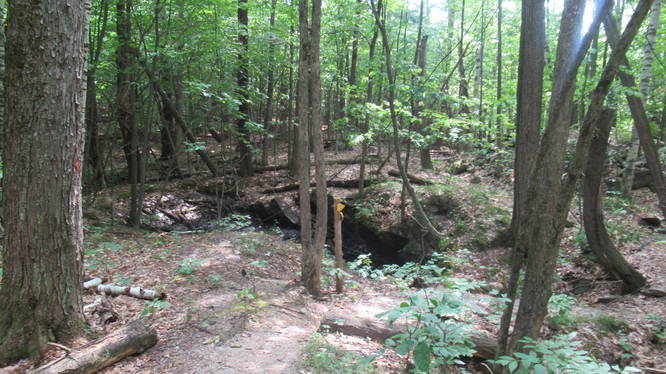 Lost Mine Trail