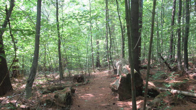 Trail continues past Lost Mine site 