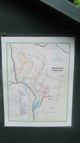 Posted map of Chester Town Forest Trails