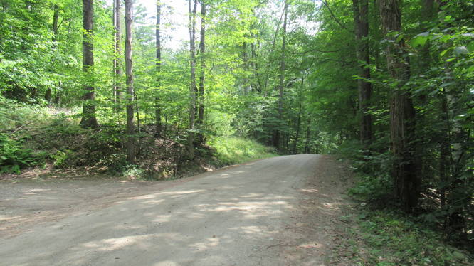 Trail begins just beyond the parking area on either side of Water Farm Road