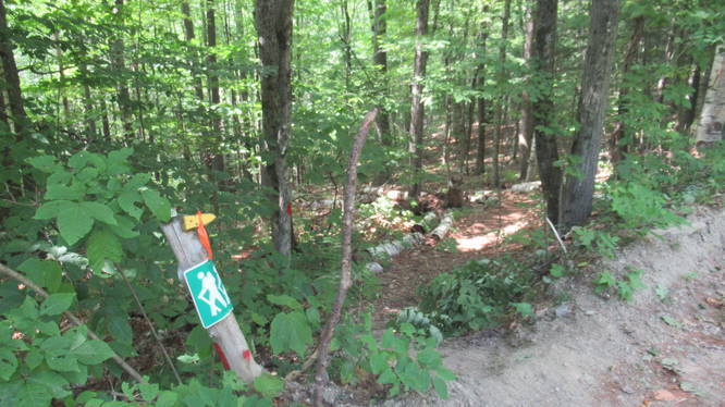 Yellow arrow points hikers to the trail