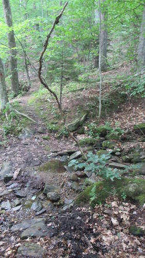 Trail crosses stream bed