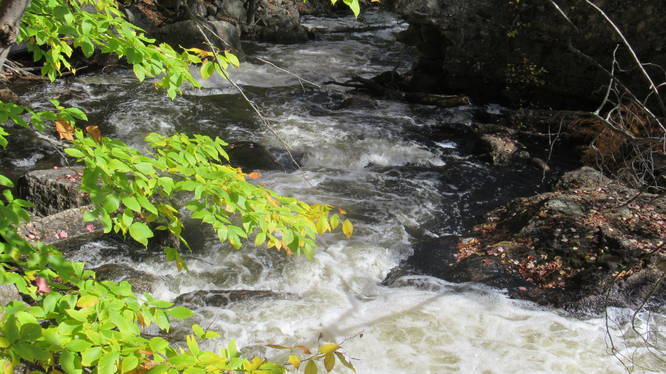 Water rushing downstream