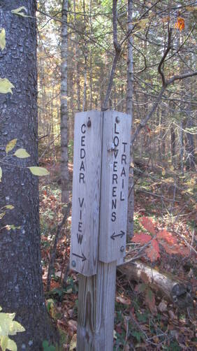 Sign for the Cedar Swamp