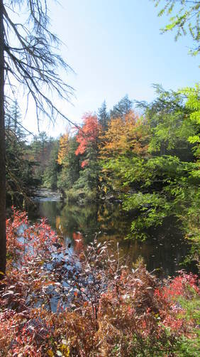 View of the Contoocook River from Loverens Trail