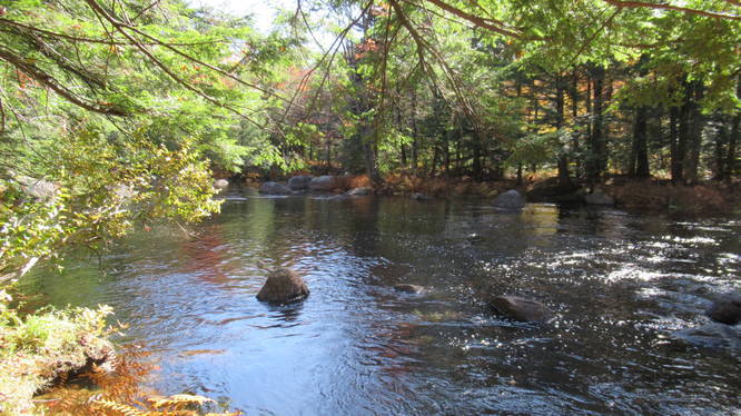 View of the Contoocook River from Loverens Trail