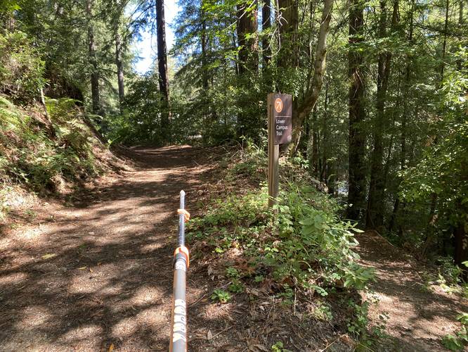 Keep left to stay on-trail. Right-hand turn leads to rock labyrinth