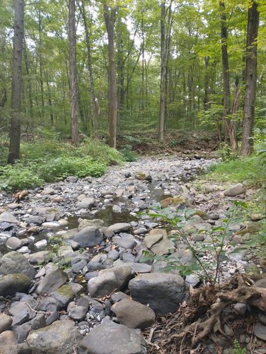 A view of the Creek from the trail