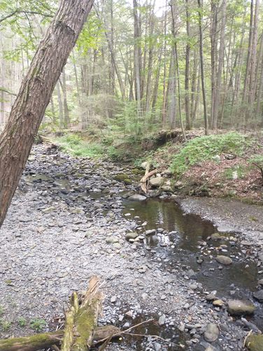 Evidence that water levels can be high